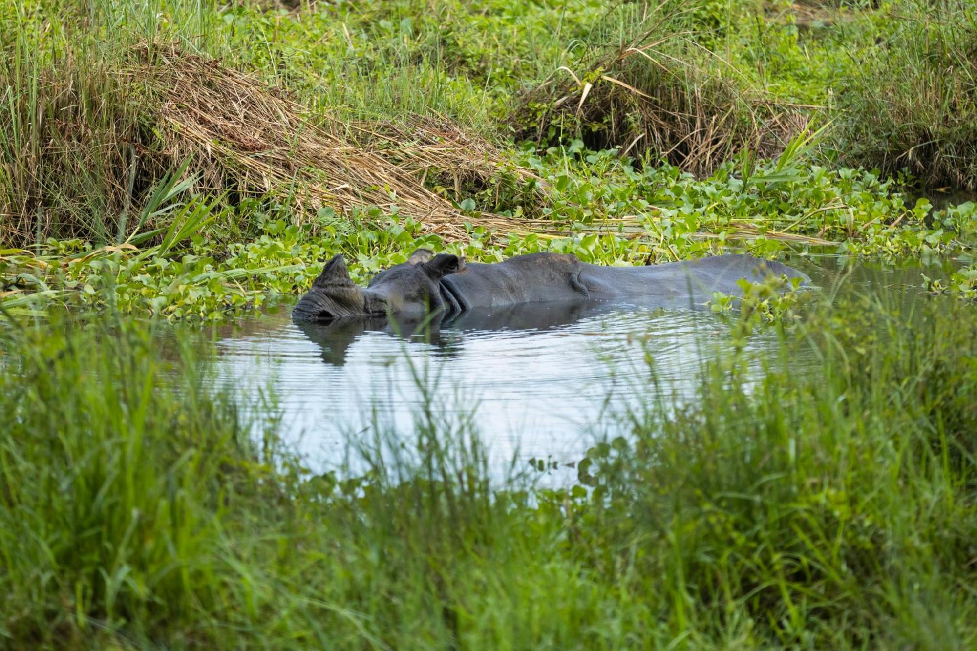 Hotel Parkside & Swimming Pool-Between Greenery And Azure ,Your Perfect Retreat Chitwan Luaran gambar