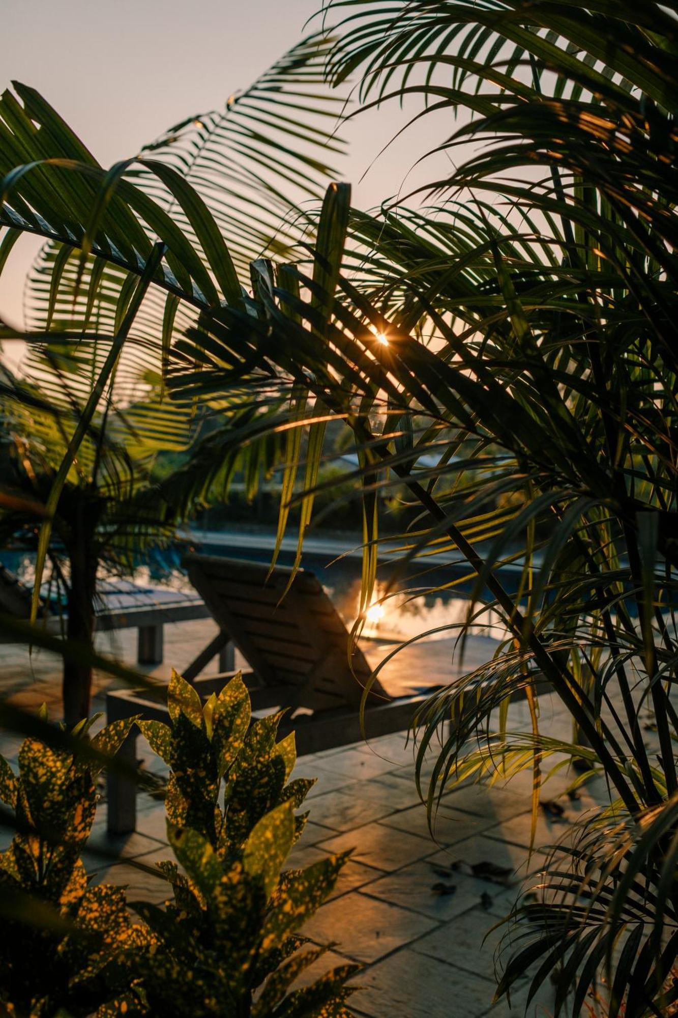 Hotel Parkside & Swimming Pool-Between Greenery And Azure ,Your Perfect Retreat Chitwan Luaran gambar